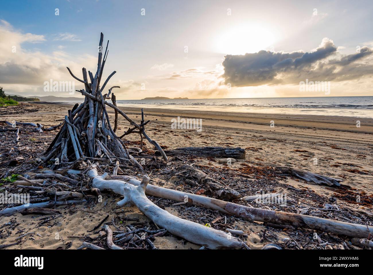 A pile of driftwood staked on a beach teepee style in Far North Queensland, Australia in the early morning Stock Photo