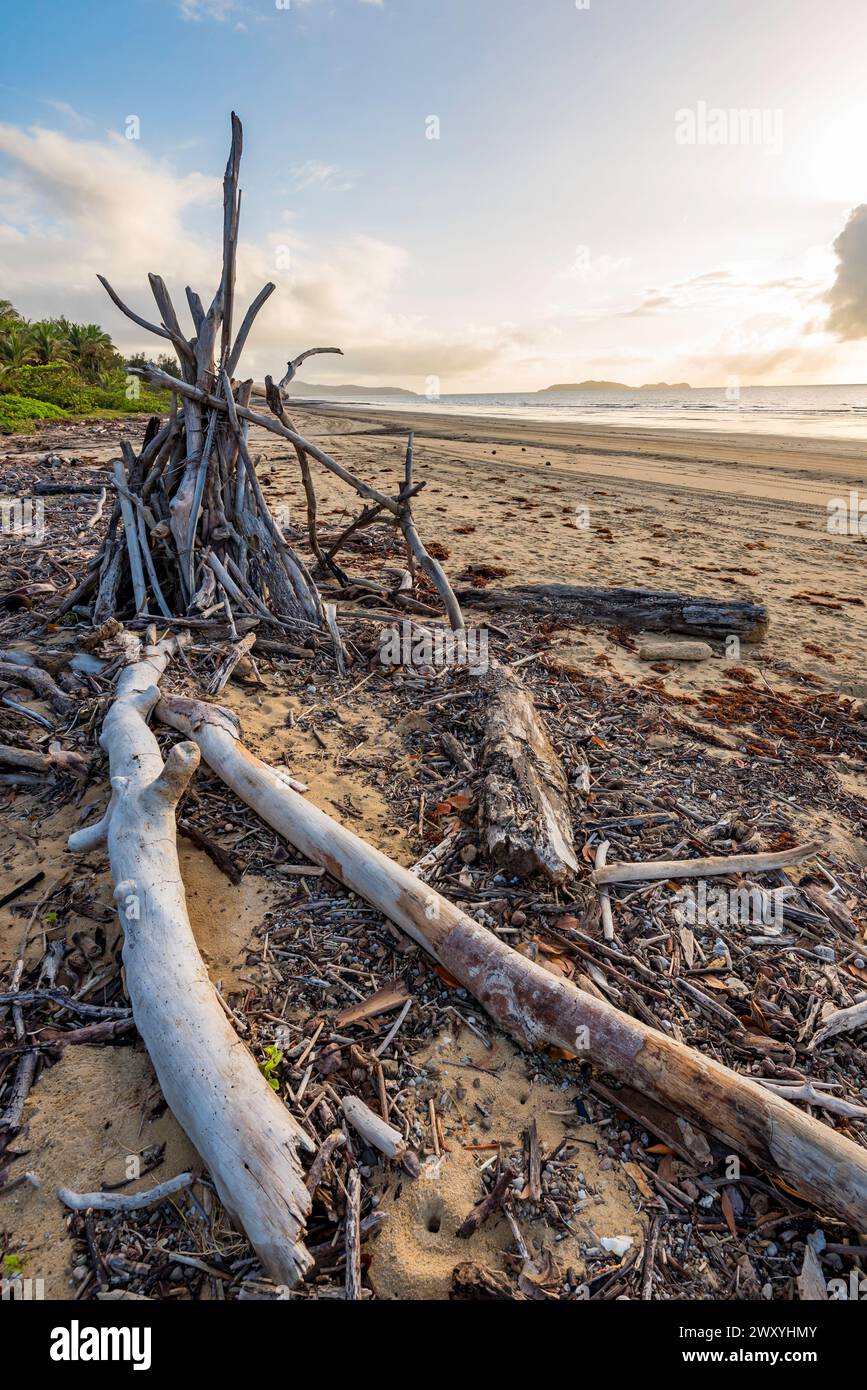 A pile of driftwood staked on a beach teepee style in Far North Queensland, Australia in the early morning Stock Photo