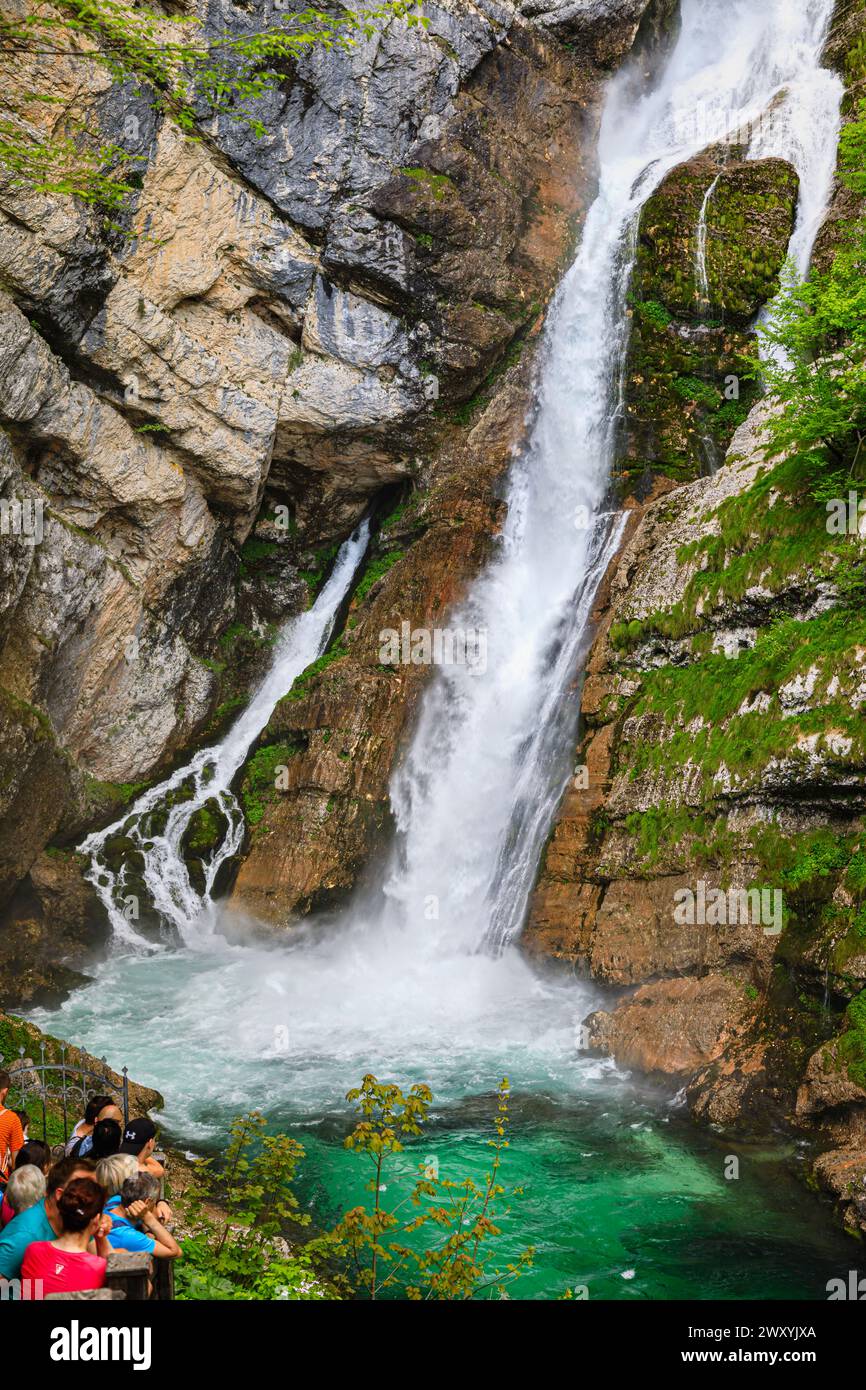 Slap Savica (Savica Falls) at Lake Boninj, a popular tourist attraction in north-west Slovenia, central & eastern Europe Stock Photo