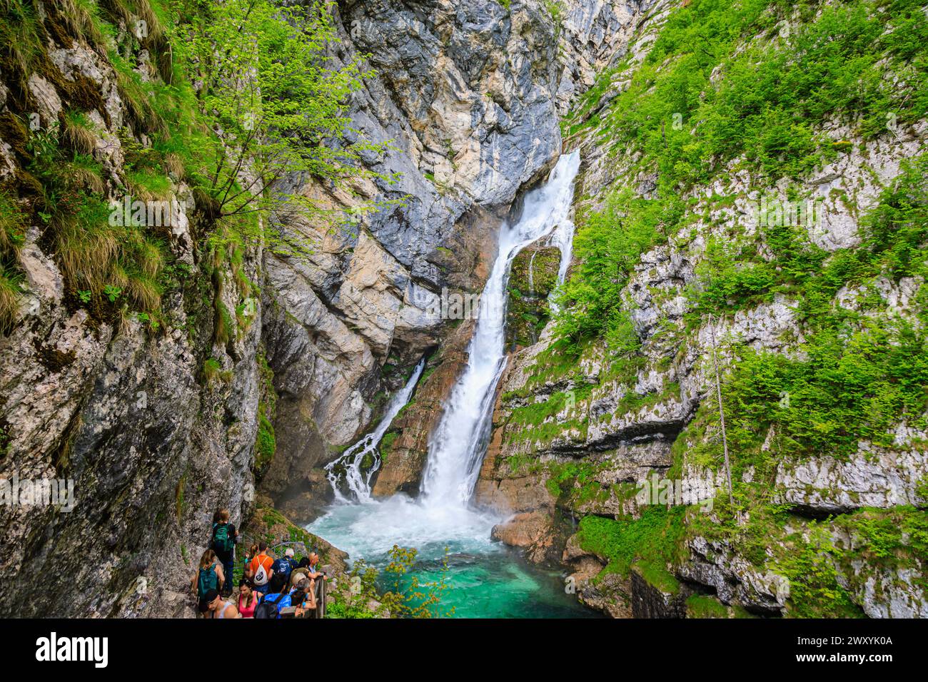 Slap Savica (Savica Falls) at Lake Boninj, a popular tourist attraction in north-west Slovenia, central & eastern Europe Stock Photo