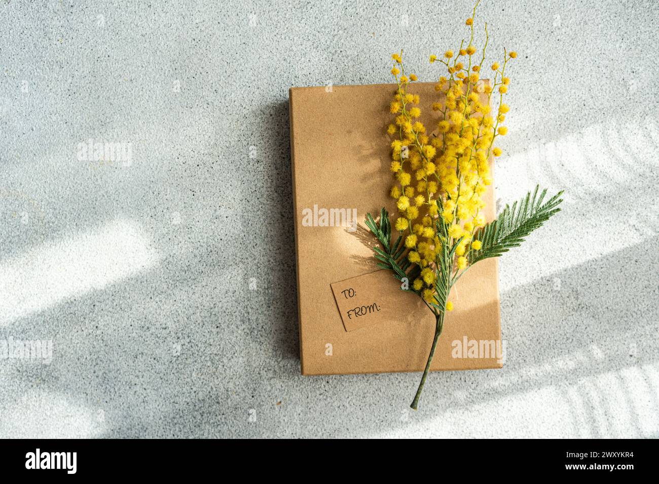 From above bright mimosa flowers adorn a simple brown paper envelope on a textured gray surface. Stock Photo
