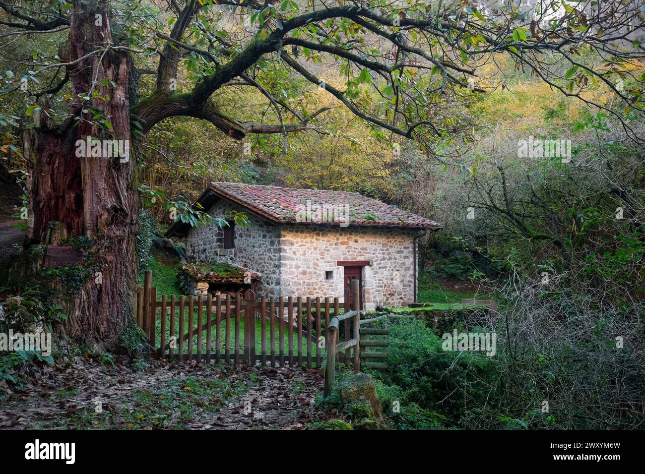 Basque Cottage A charming stone cottage nestles quietly among the vibrant foliage of ...