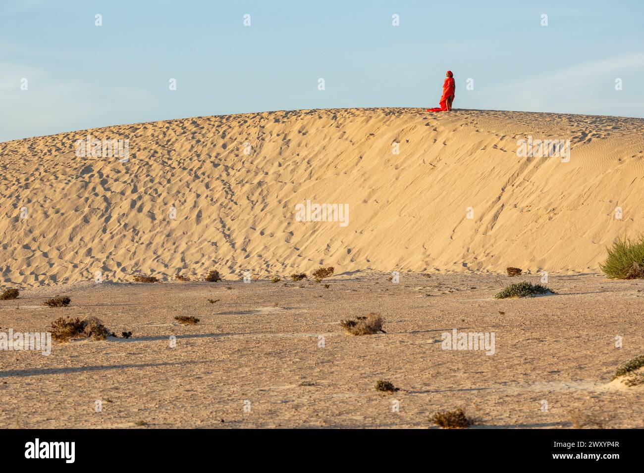A lone woman dressed in a striking red dress stands atop a desert dune, her figure a bold contrast against the muted tones of the sandy landscape. She Stock Photo
