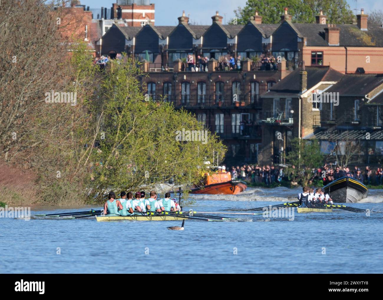 Oxford & Cambridge Boat Race Stock Photo Alamy