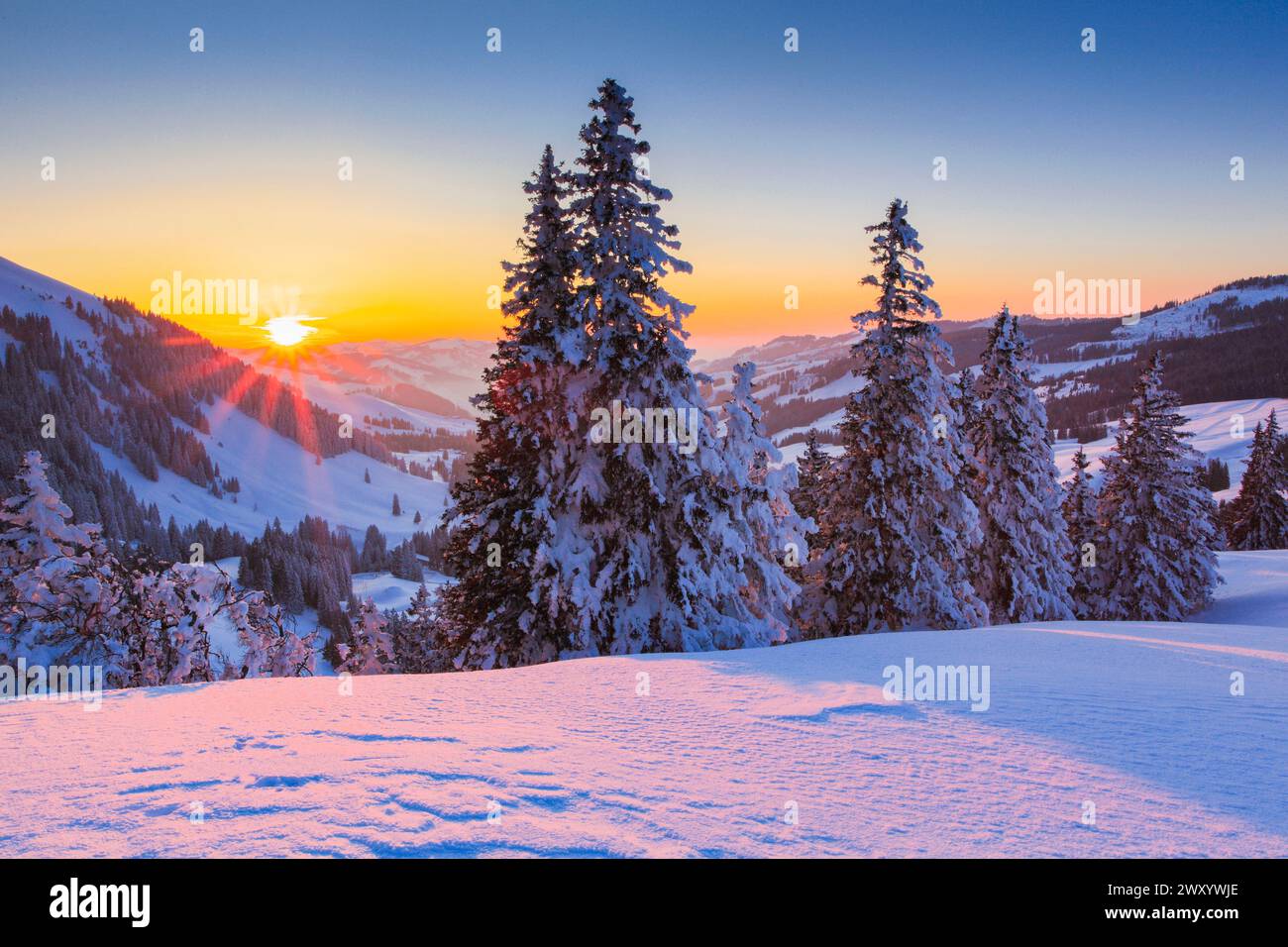 Swiss Prealps in winter at sunset, Switzerland, Gurnigel, Berner Mittelland Stock Photo