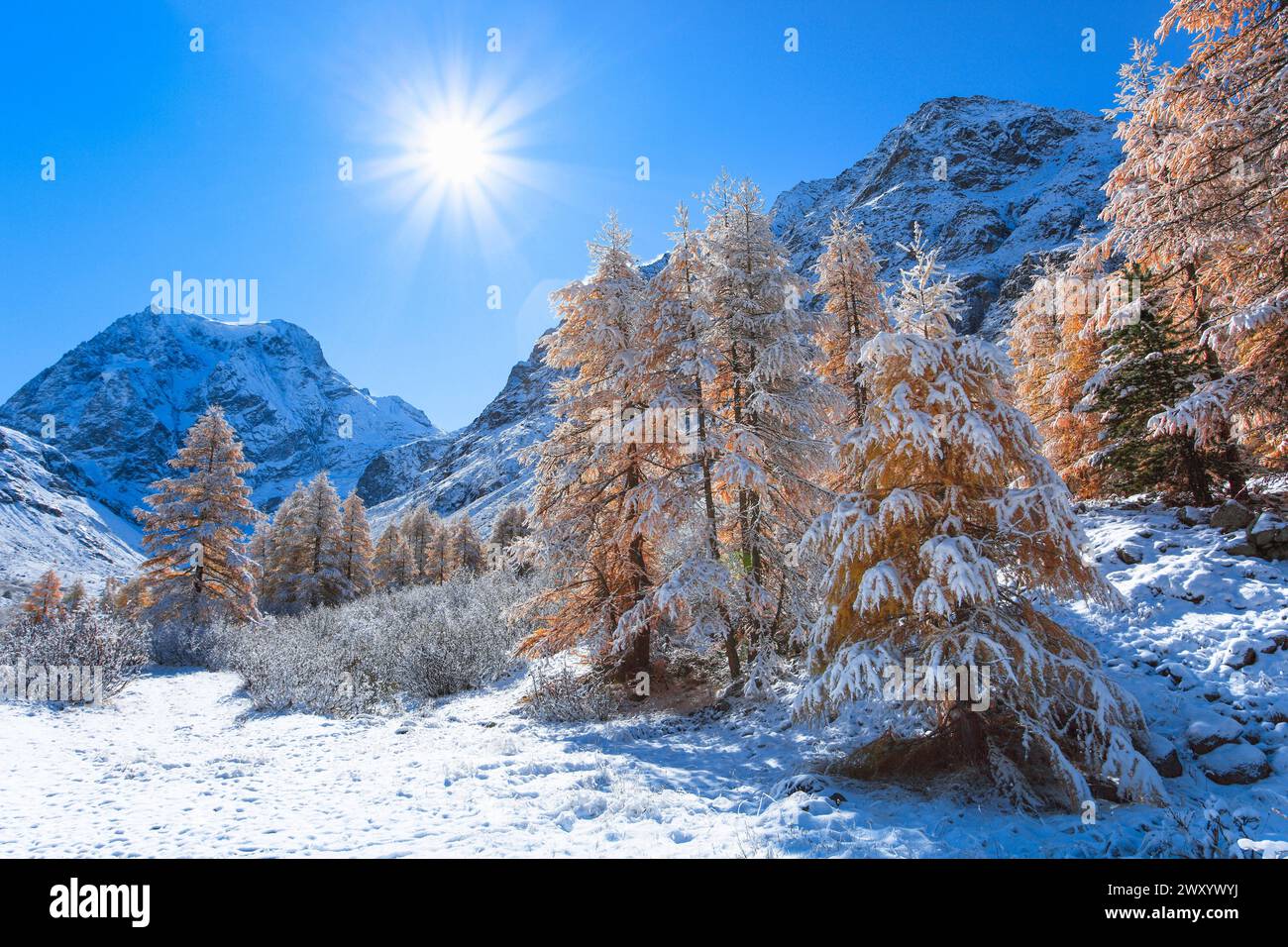 Arolla Valley and Mont Collon in autumn, Switzerland, Valais Stock Photo