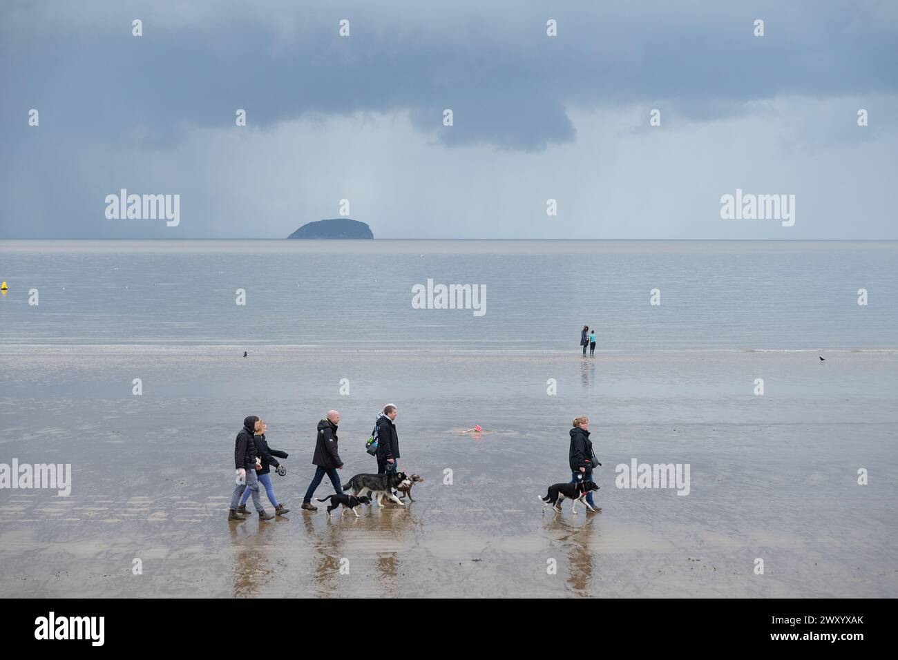Two people walking their dog on a cold, wet, windy, rainy beach. Stock Photo