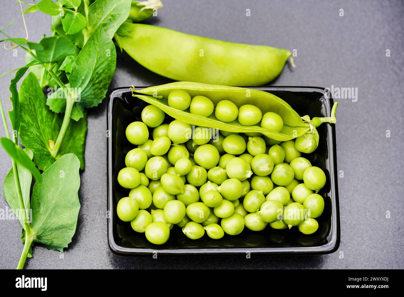garden pea (Pisum sativum), green peas in a bowl with plant and pod Stock Photo