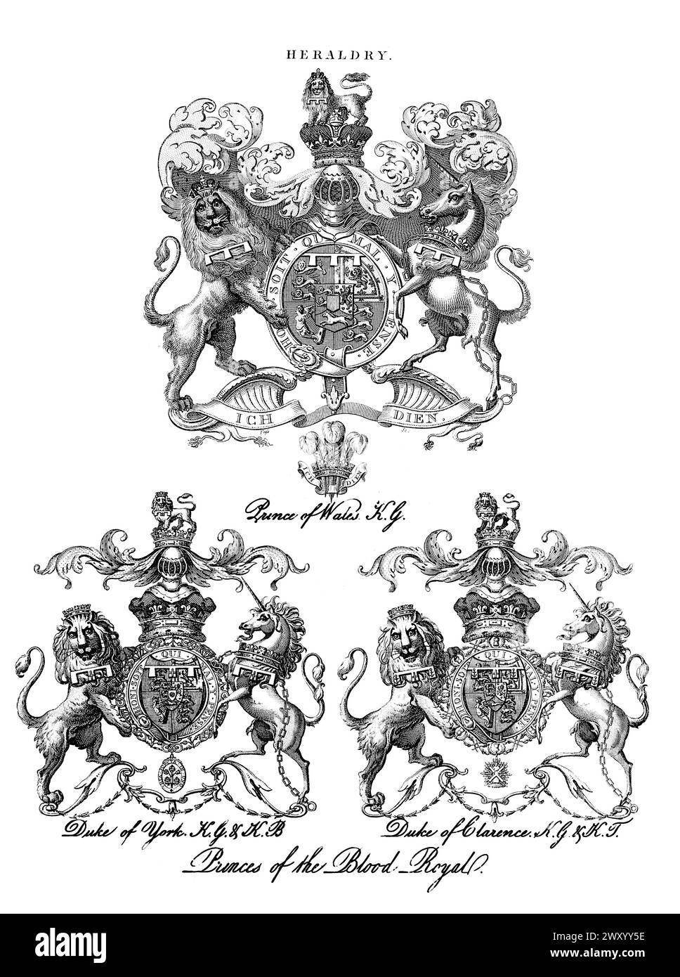 Royal armorial bearings Heraldry is a discipline relating to the design, display and study of armorial bearings (known as armory), as well as related disciplines, such as vexillology, together with the study of ceremony, rank and pedigree. Armory, the best-known branch of heraldry, concerns the design and transmission of the heraldic achievement. The achievement, or armorial bearings usually includes a coat of arms on a shield, helmet and crest, together with any accompanying devices, such as supporters, badges, heraldic banners and mottoes. Copperplate engraving From the Encyclopaedia Londine Stock Photo