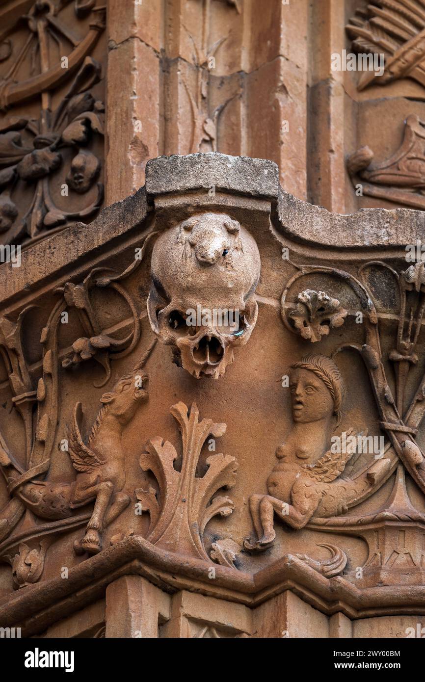 Frog on the skull carved into the stone facade of the University, Salamanca, Castile and Leon, Spain Stock Photo