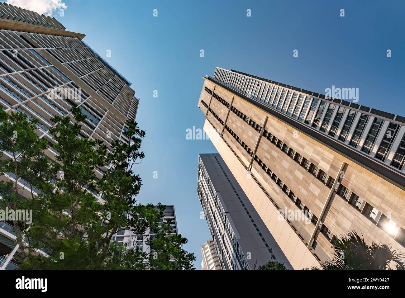 An exterior of high risers and trees silhouetted against a vibrant sunset Stock Photo