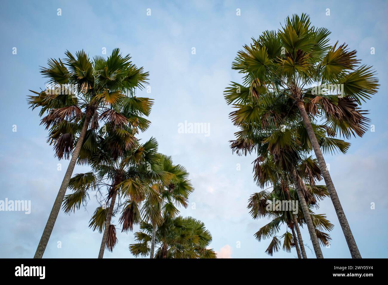 Wallpaper landscape hi-res stock photography and images - Alamy