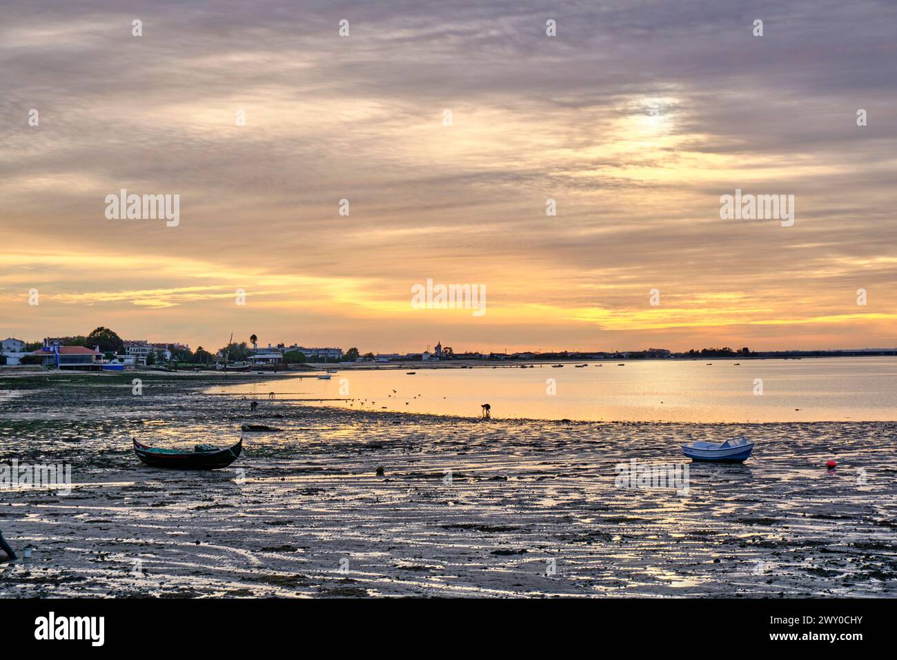 Tagus river at low tide. Alcochete, Portugal Stock Photo