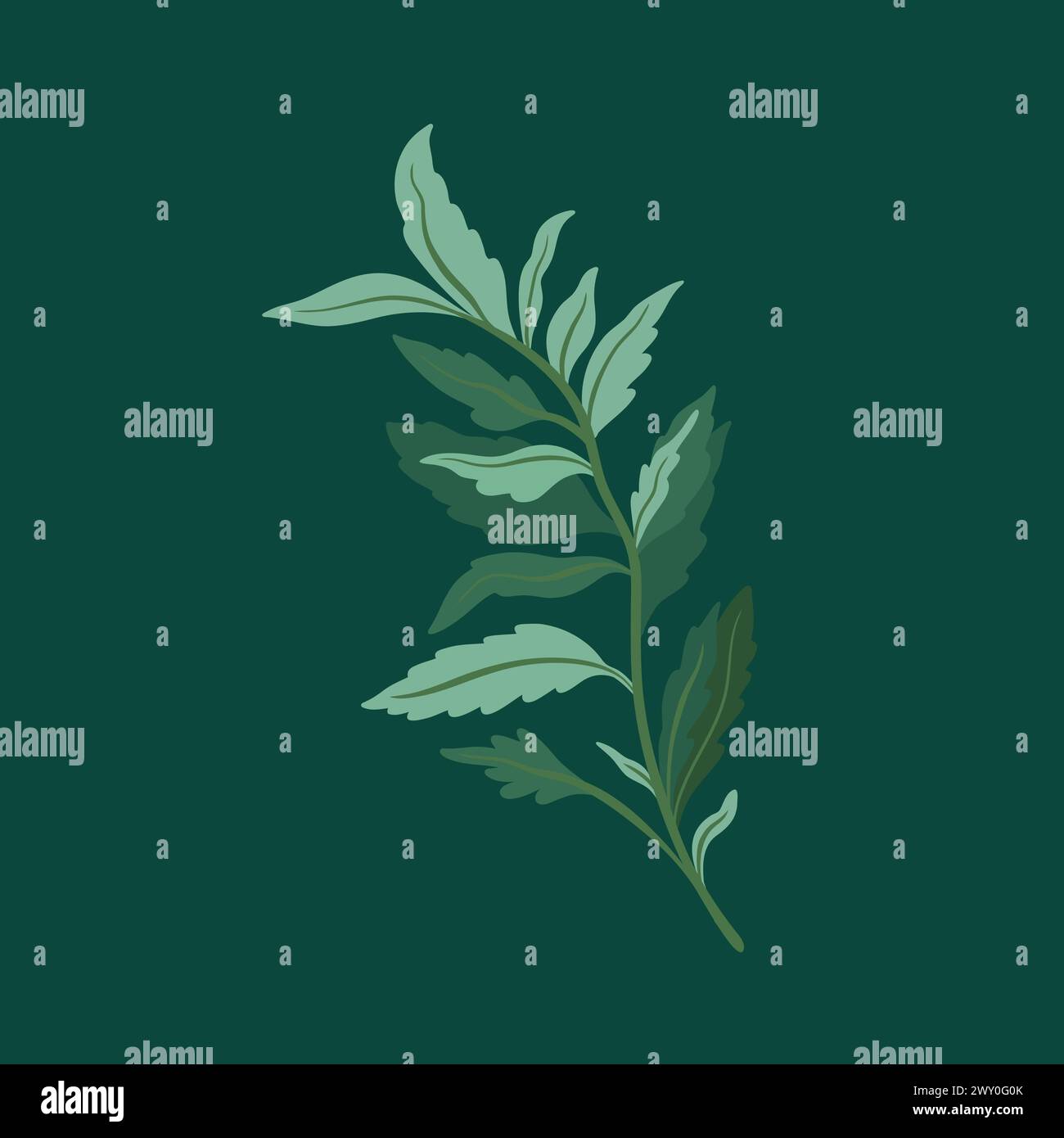 Collection of elegant beautiful tropical plants isolated on background. Cute leaves for decorative design elements. Stock Vector