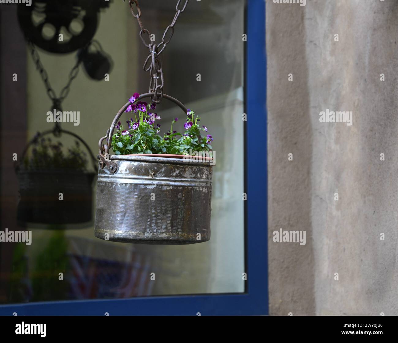 Antique pewter hanging pot with purple Browallia flowers in Obernai, Alsace France. Stock Photo