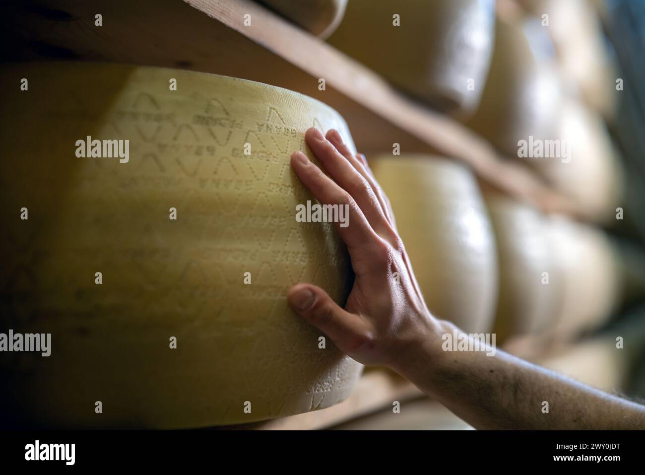 Arm bent elbow hires stock photography and images Alamy