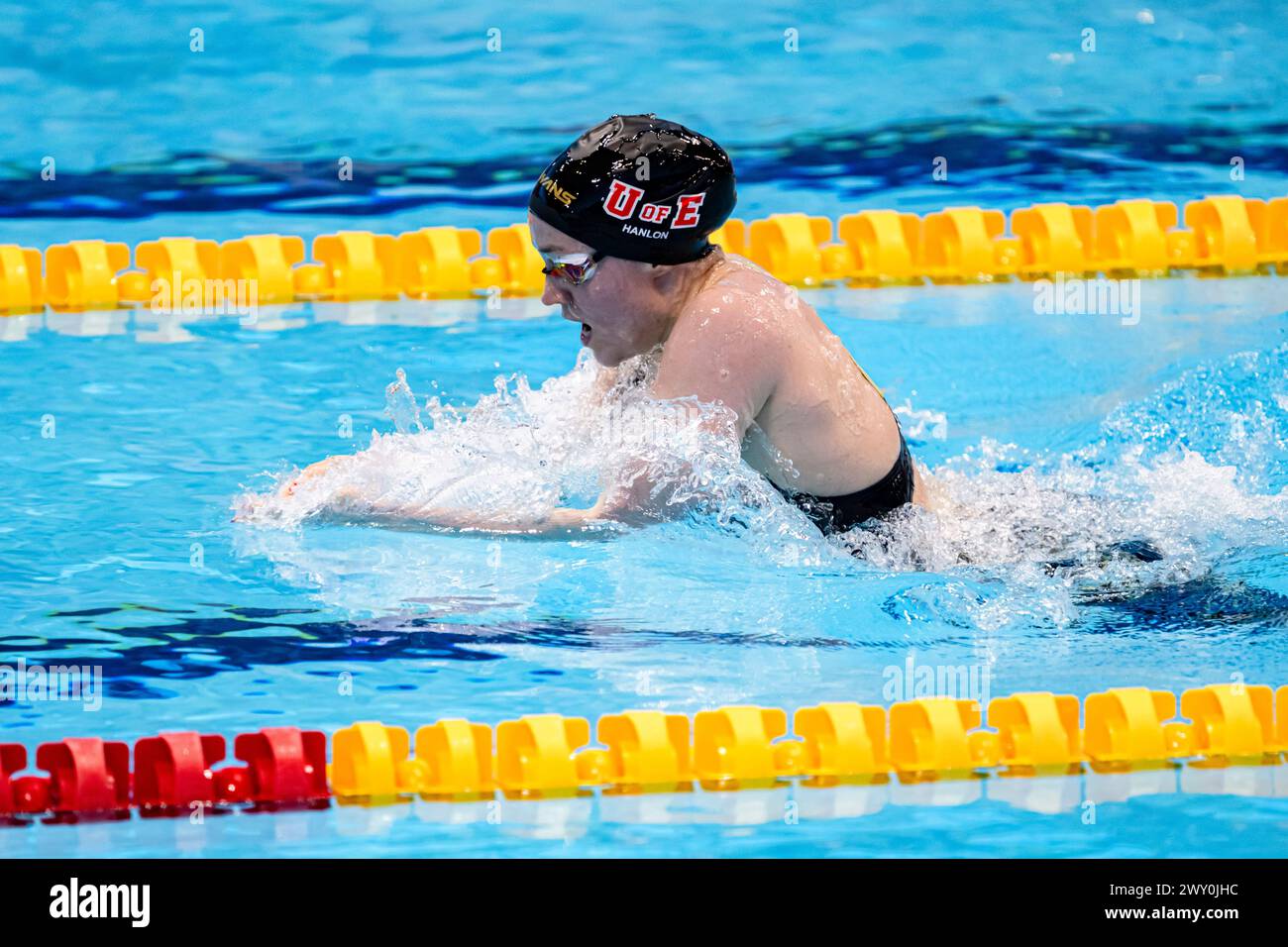 Dolphin kick hires stock photography and images Alamy