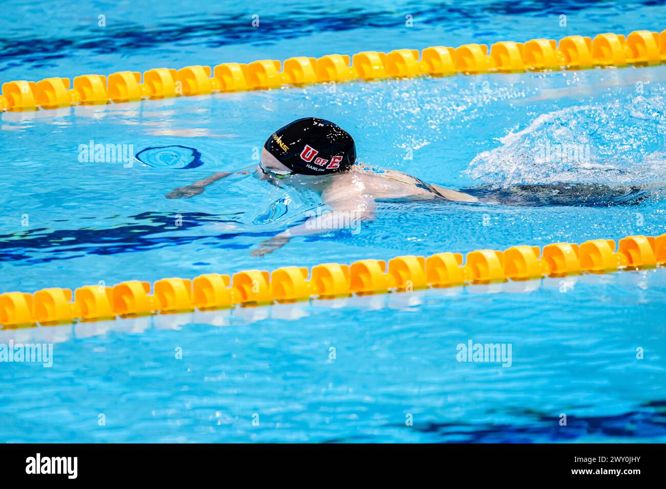 Dolphin kick hires stock photography and images Alamy