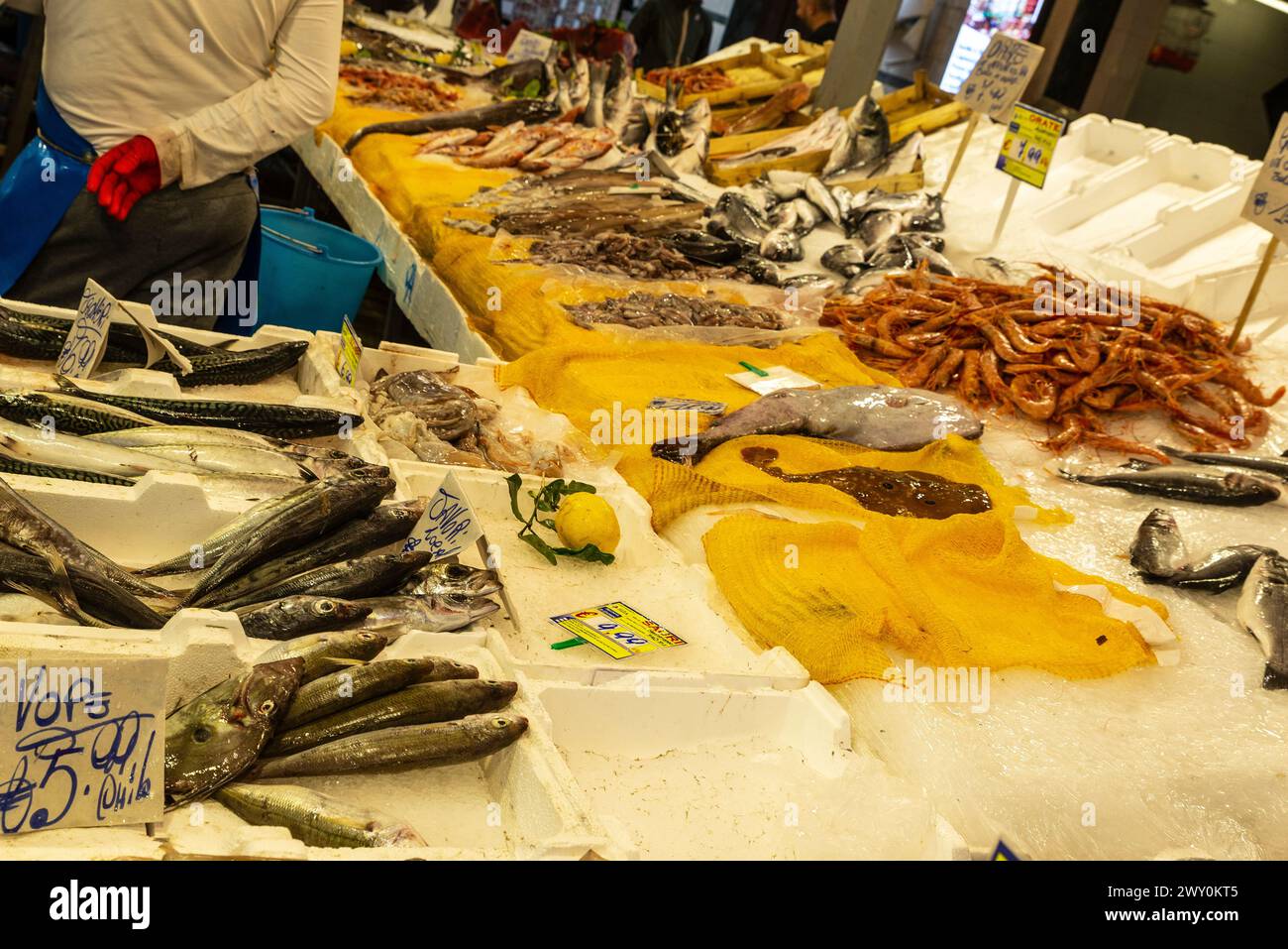 Fish and seafood shop in Ballaro Market, street food market in Palermo ...