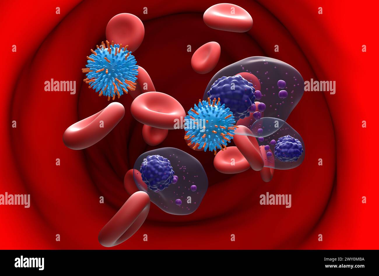 CAR T cell therapy in Multiple myeloma (MM) - section view 3d illustration Stock Photo