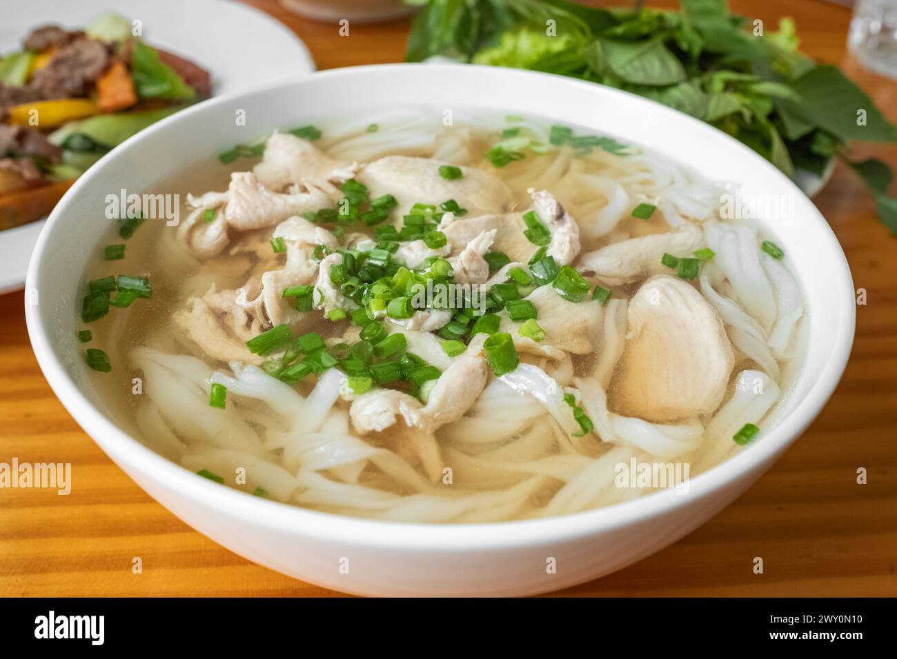 Pho noodle, traditional Vietnamese food, rice noodle soup with sherd chicken with cilantro, mint and Thai basil, Vietnamese cuisine soup Pho Ga with c Stock Photo