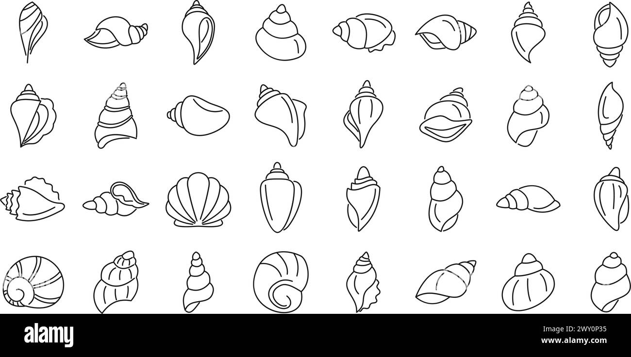 Warm water sea snail Cut Out Stock Images & Pictures - Alamy