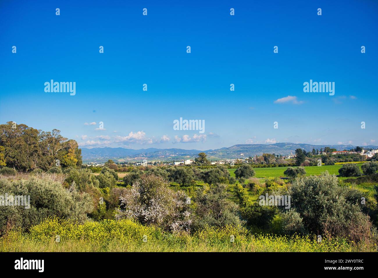 Landscape with trees, meadows and mountains at the northwest coast of Cyprus. In the distance the town of Polis Stock Photo