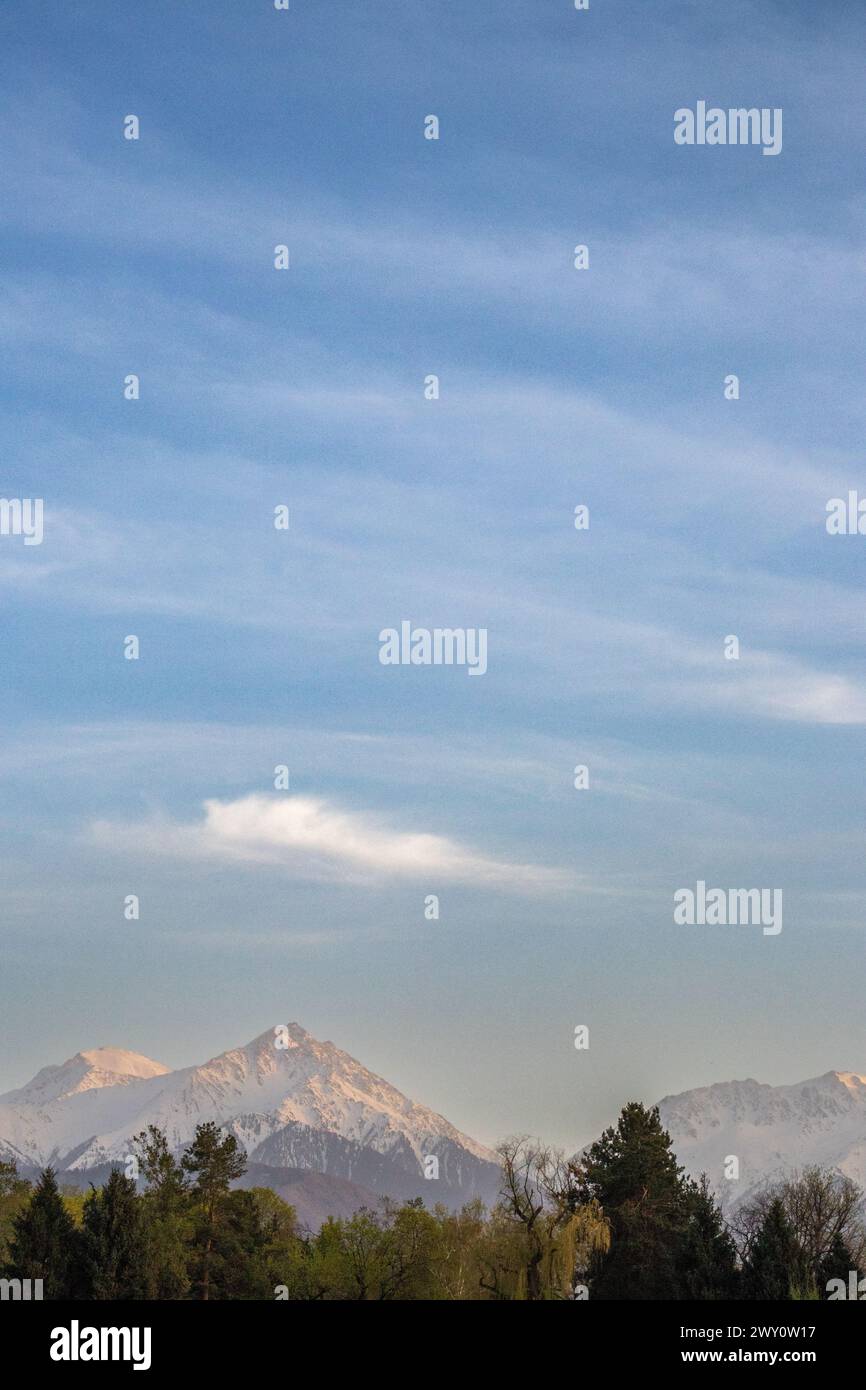 Blurry image of trees in ecoregion with mountain range against blue sky Stock Photo