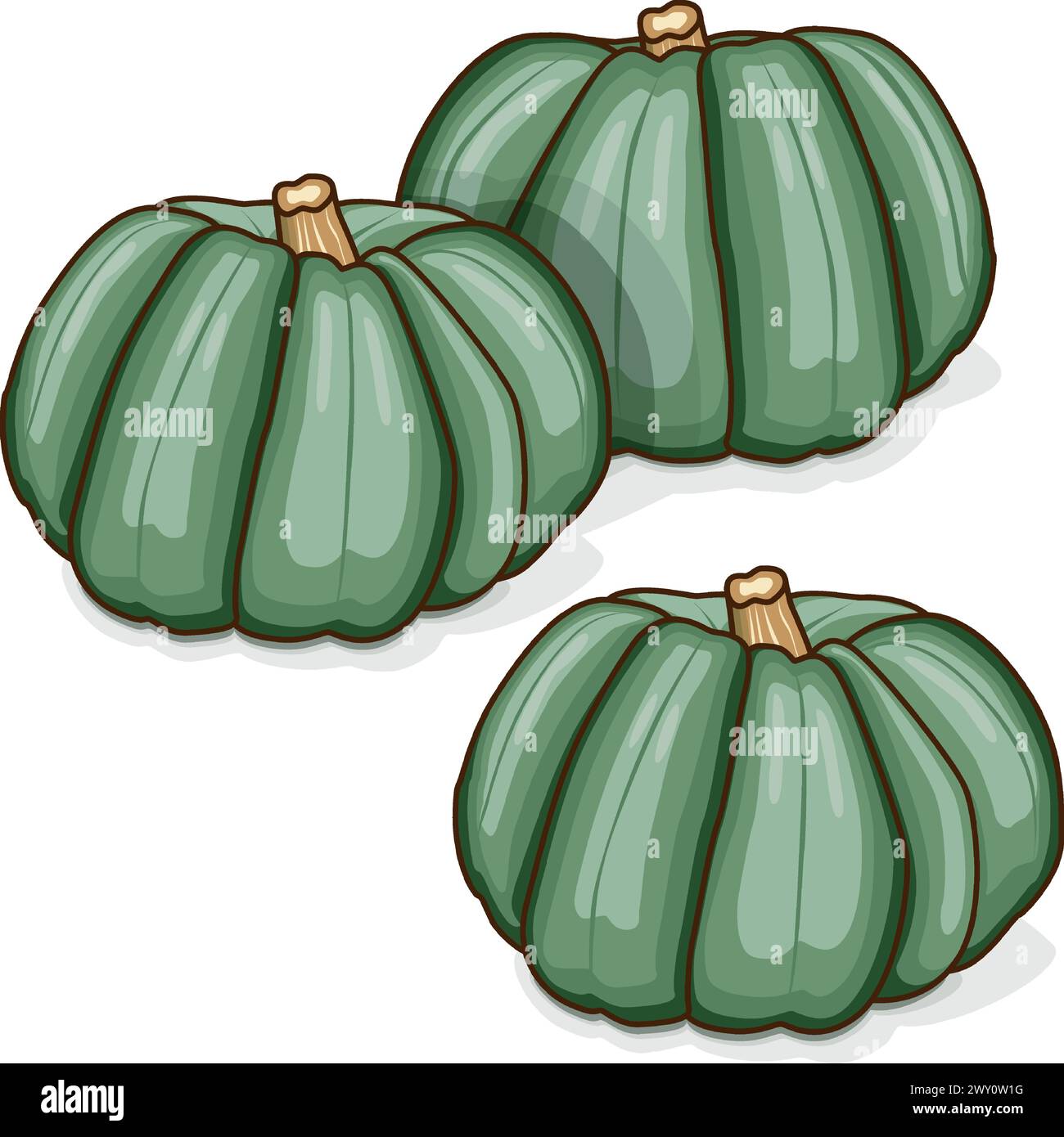 Group of Blue pumpkin. Winter squash. Cucurbita maxima. Fruits and vegetables. Clipart. Isolated vector illustration. Stock Vector