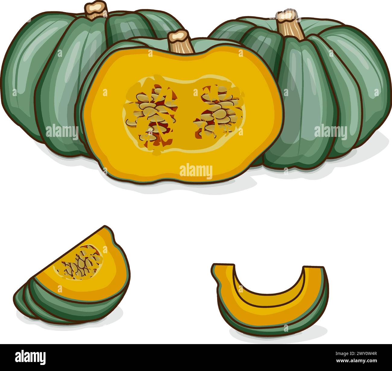 Whole and chopped Blue pumpkin. Winter squash. Cucurbita maxima. Vegetables. Clipart. Isolated vector illustration. Stock Vector