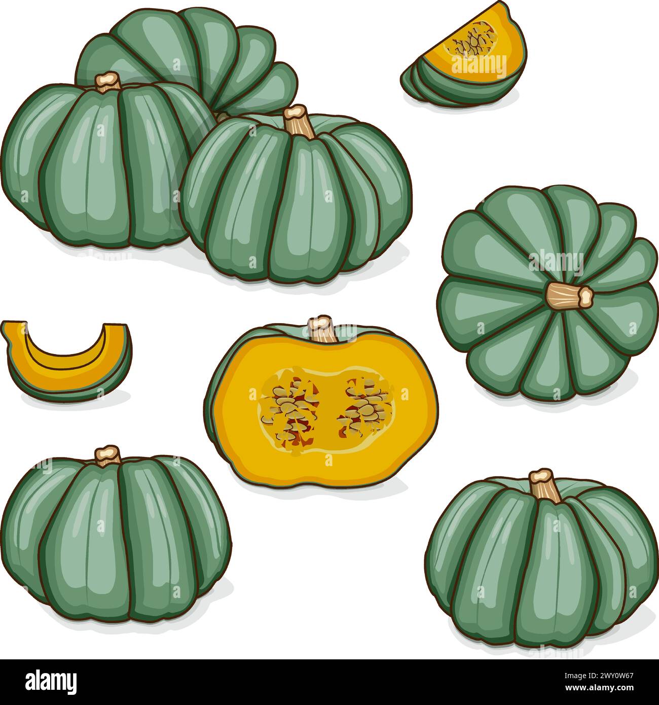 Set of Blue pumpkin. Winter squash. Cucurbita maxima. Fruits and vegetables. Clipart. Isolated vector illustration. Stock Vector