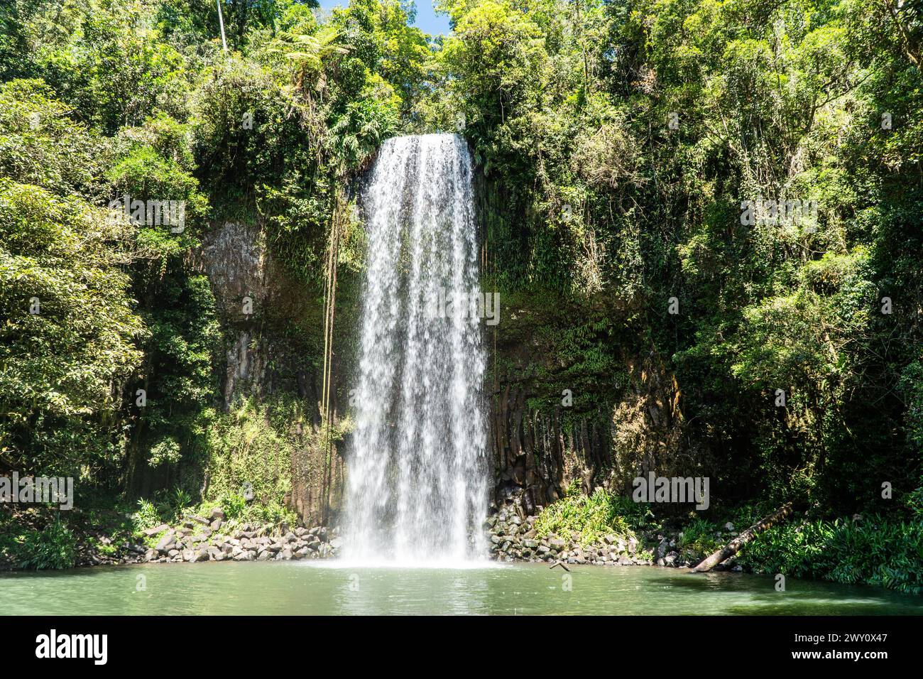 Millaa Millaa Falls in Queensland, Australia Stock Photo