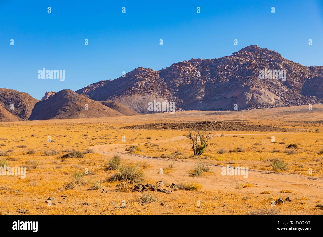 Wide open area in the Richtersveld National Park, arid area of South Africa Stock Photo