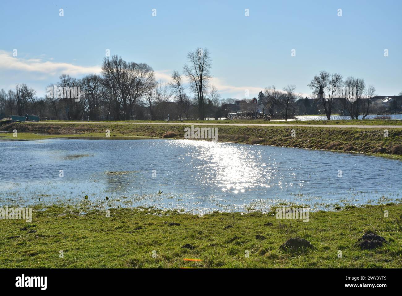 Baum und teich hires stock photography and images Alamy