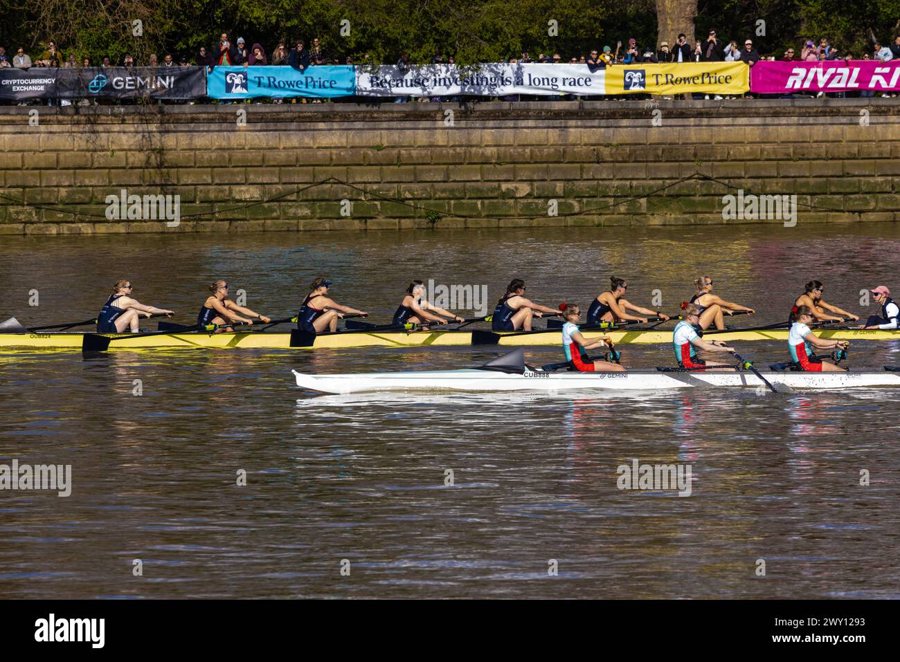 Boat Race 2025 Live Streaming Aviva Caritta