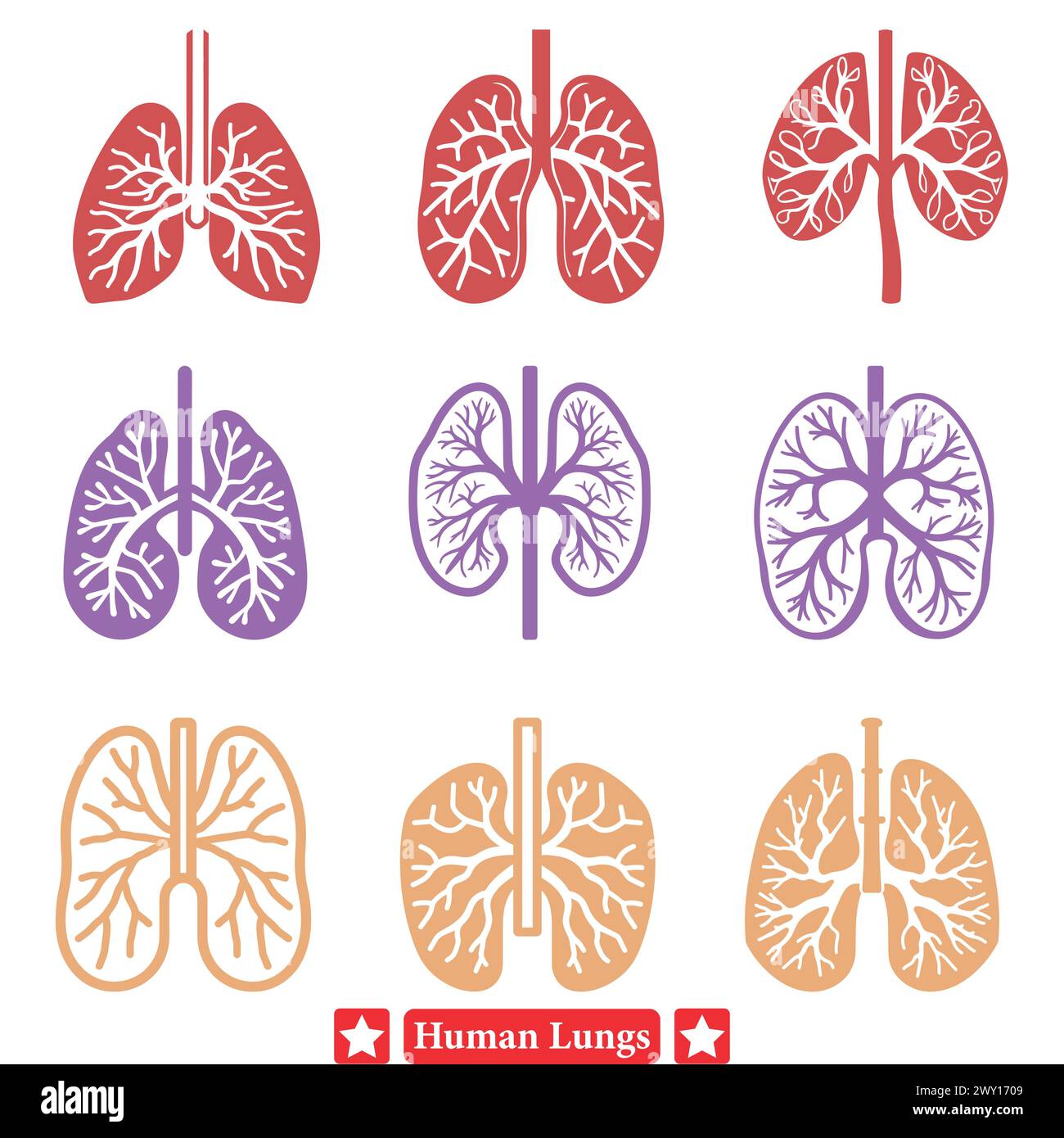 Precision crafted Human Lung Silhouettes Set for Health Awareness Campaign Materials Stock Vector
