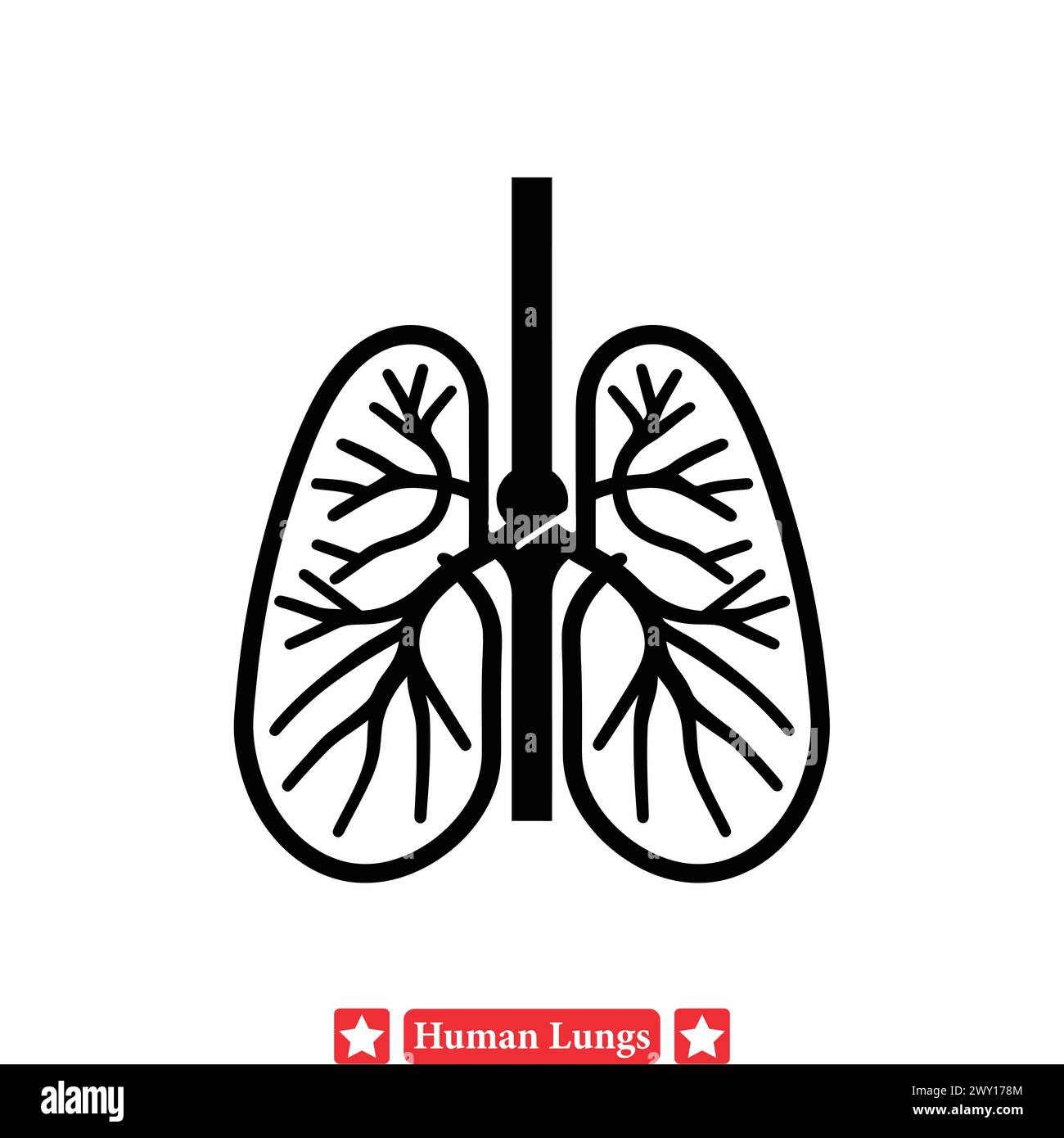 Clear and Concise Human Lungs Diagrams Suitable for Medical Poster Designs Stock Vector