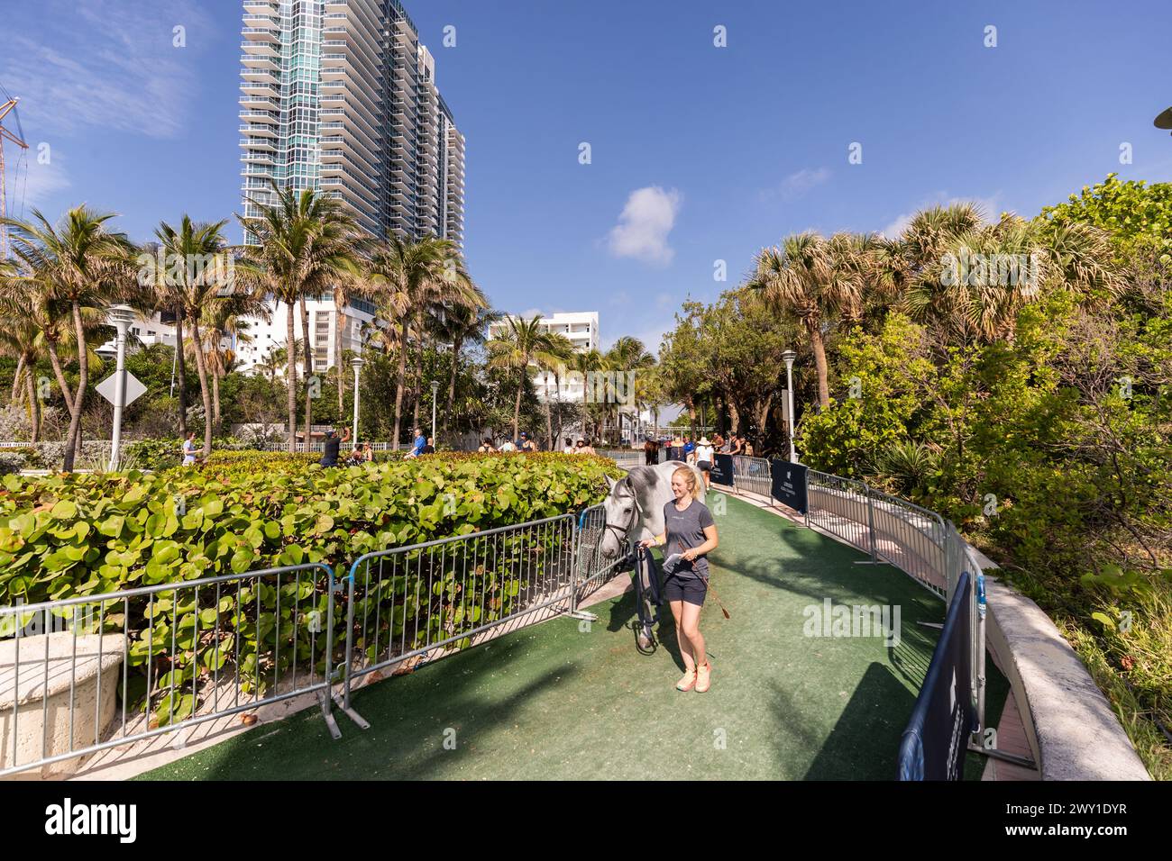 Miami Beach, USA - April 3, 2024. Opening day of the Longines Global Champions League on the beach in Miami. Mark Spowart/Atlas Media Canada. Stock Photo