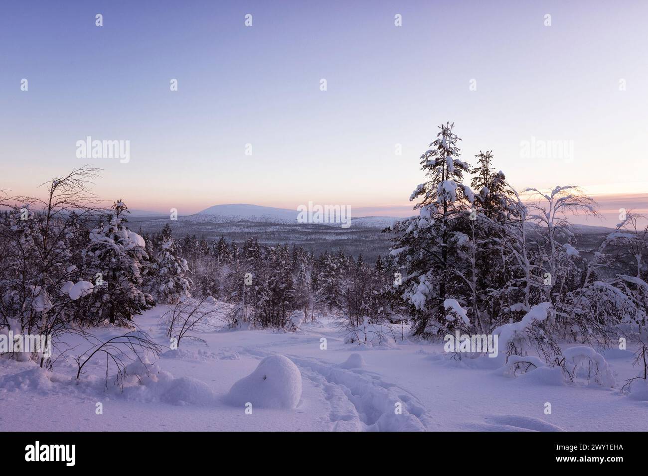 Beautiful winter landscape tree hi-res stock photography and images - Alamy