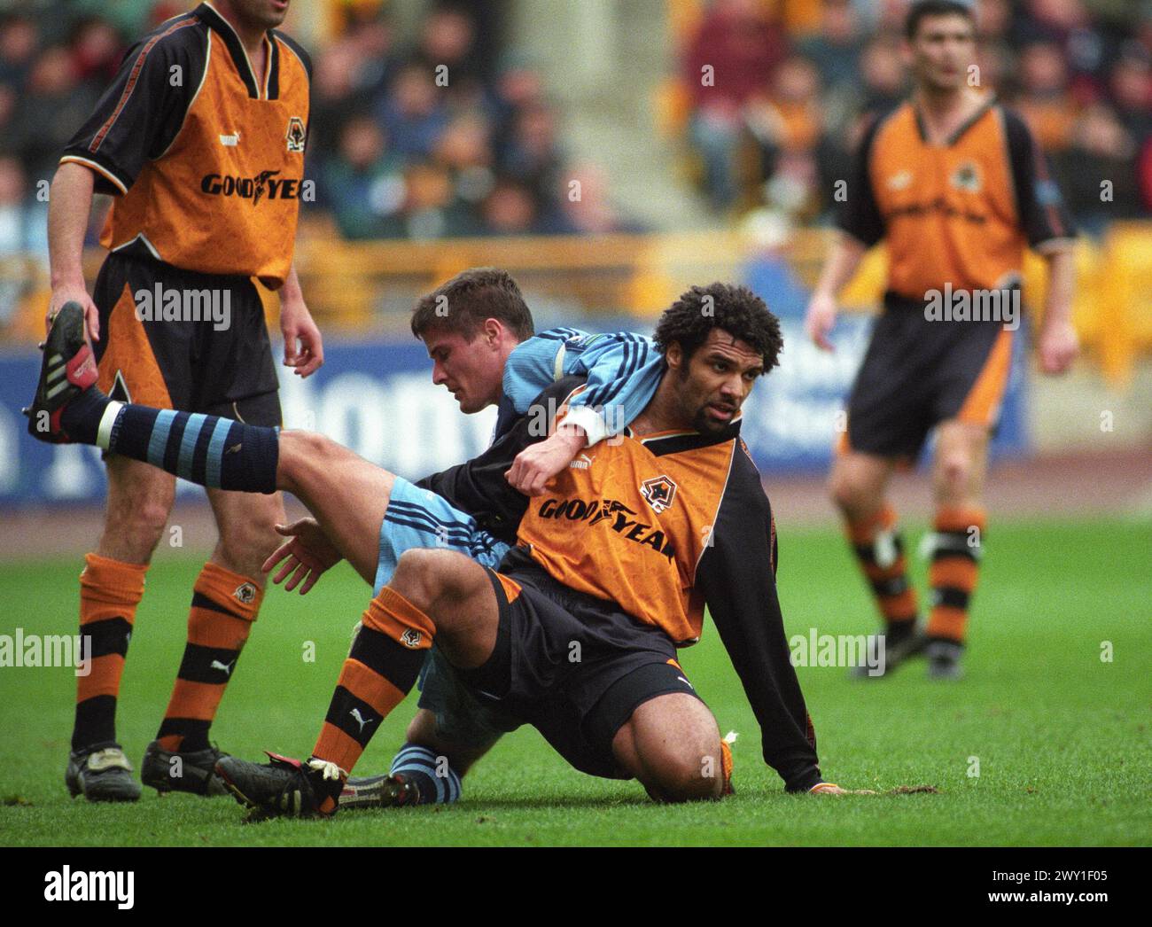 Don goodman wolves hi-res stock photography and images - Alamy