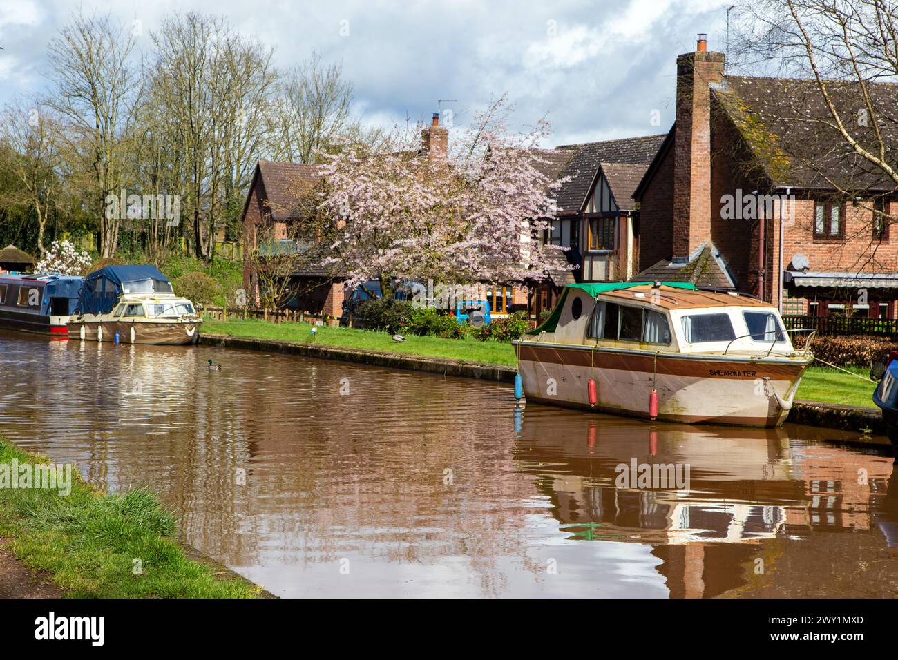 Person walking backpacking along the canal towpath of the Shropshire Union canal as it passes moored narrowboats in Market Drayton Stock Photo