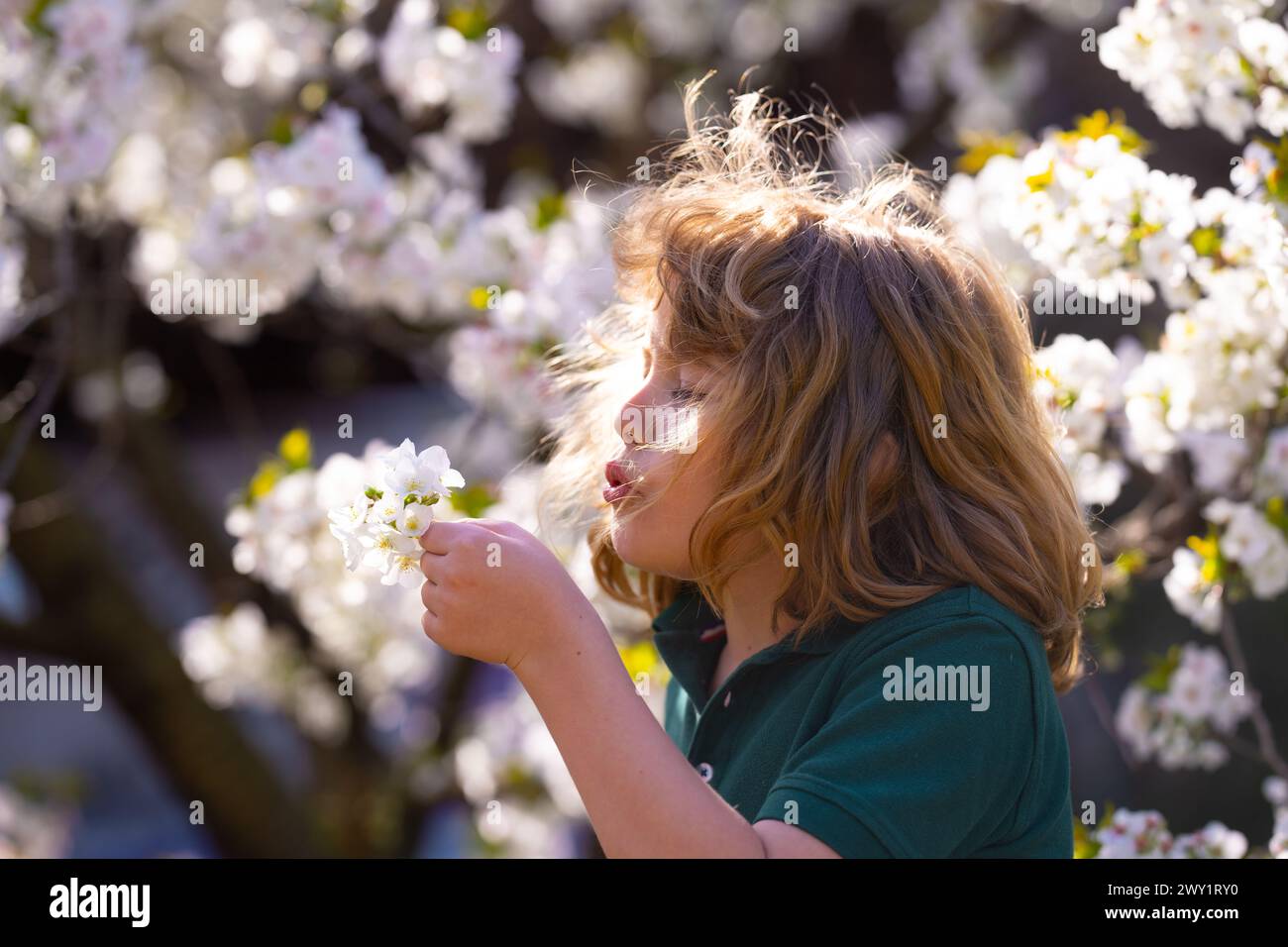 The spring holidays. Happy kid playing under blooming cherry tree with ...