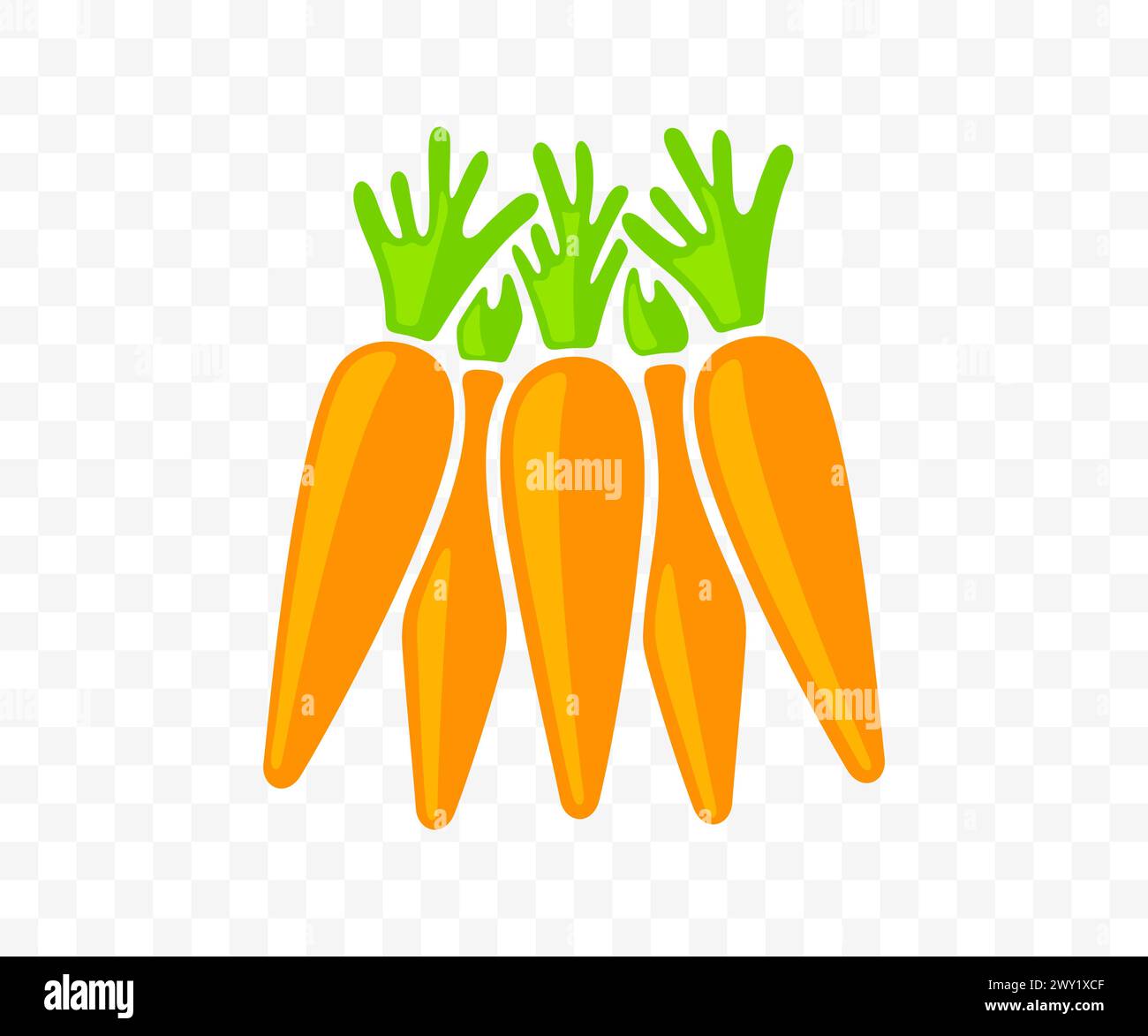 Carrots, vegetable, agriculture, food and meal, graphic design. Harvest, plant, nature, leaf, leaves, nourishment and grocery, vector design Stock Vector