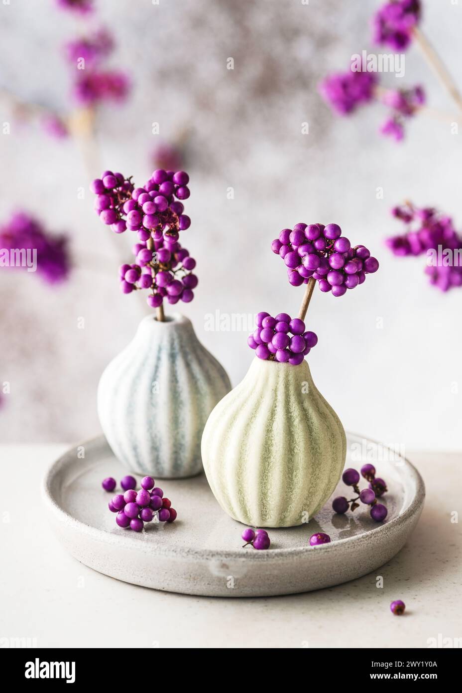 Beautiful floristic arrangement with  purple beauty berry branches in mini ceramic vases. Romantic minimal floral still life. Copy space Stock Photo