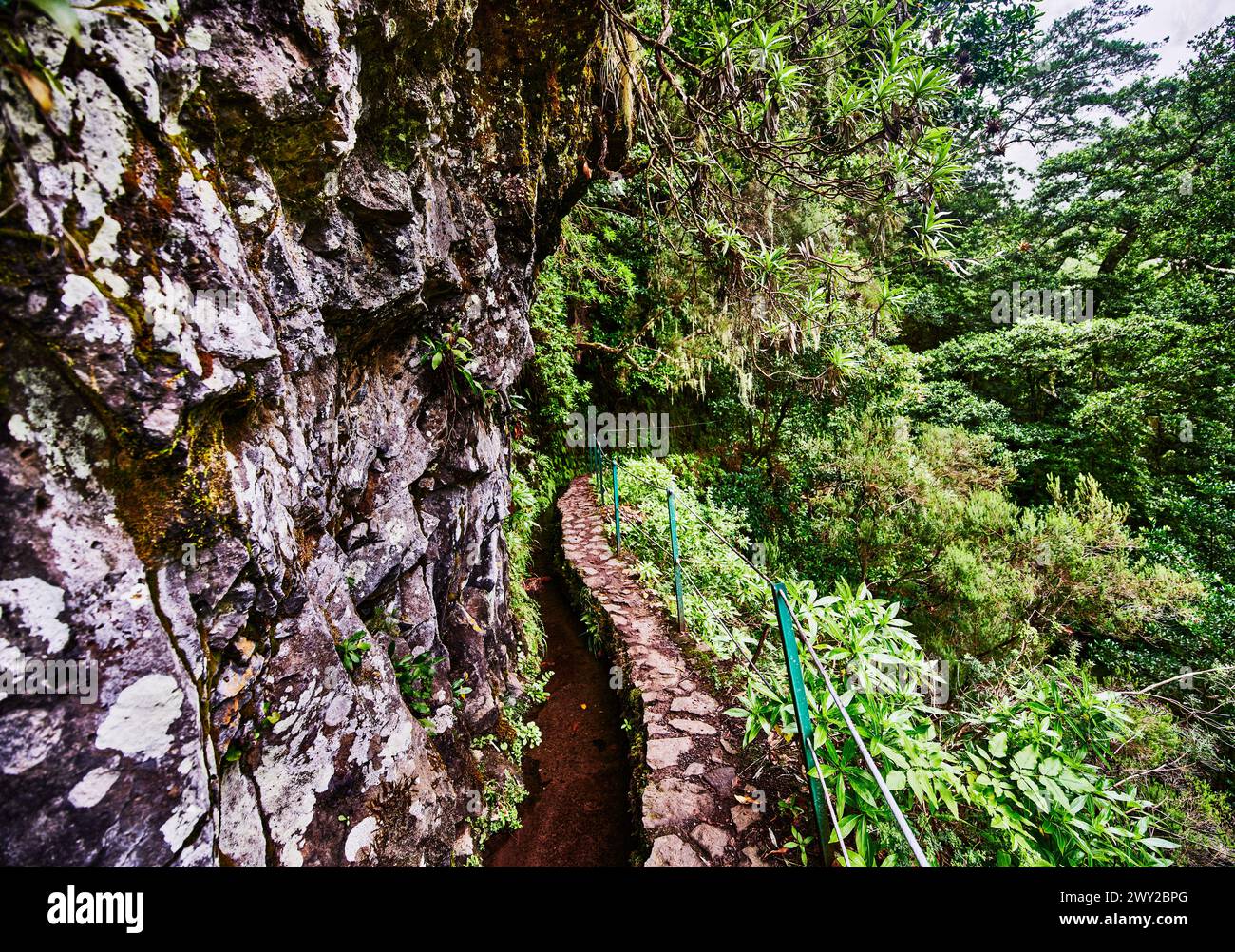 View from Levada do Caldeirão Verde Hike (PR9) On Madeira Island, Portugal, Europe Stock Photo