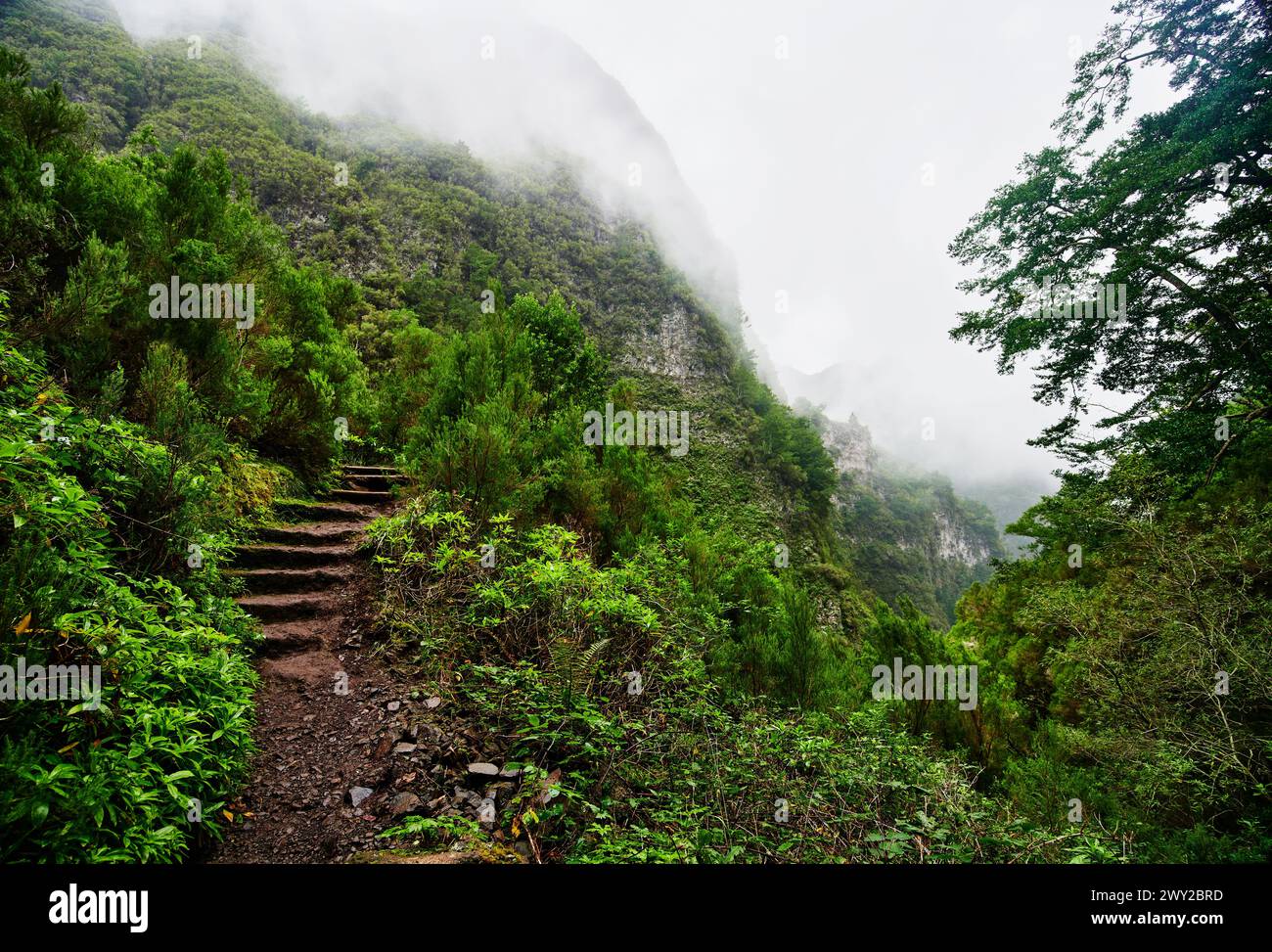 View from Levada do Caldeirão Verde Hike (PR9) On Madeira Island, Portugal, Europe Stock Photo