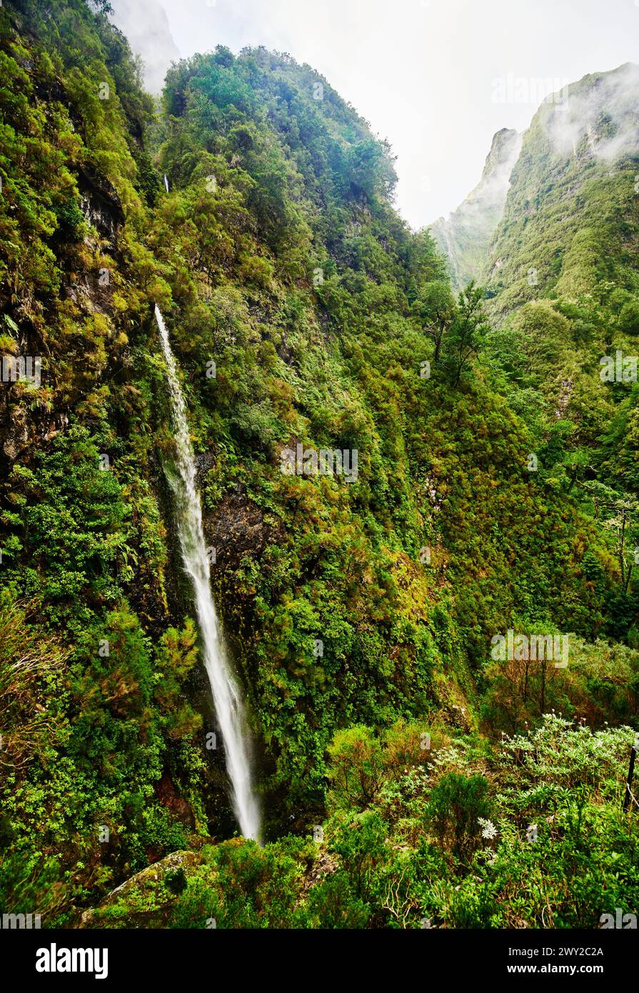 Waterfall along Levada do Caldeirão Verde Hike (PR9) On Madeira Island, Portugal, Europe Stock Photo