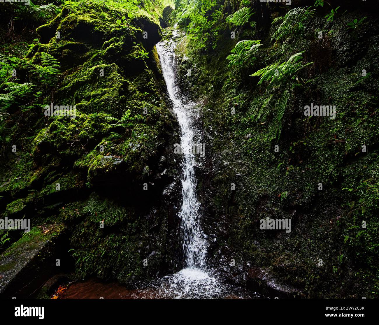 Waterfall along Levada do Caldeirão Verde Hike (PR9) On Madeira Island, Portugal, Europe Stock Photo