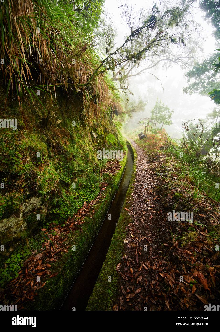 View from Levada do Caldeirão Verde Hike (PR9) On Madeira Island, Portugal, Europe Stock Photo