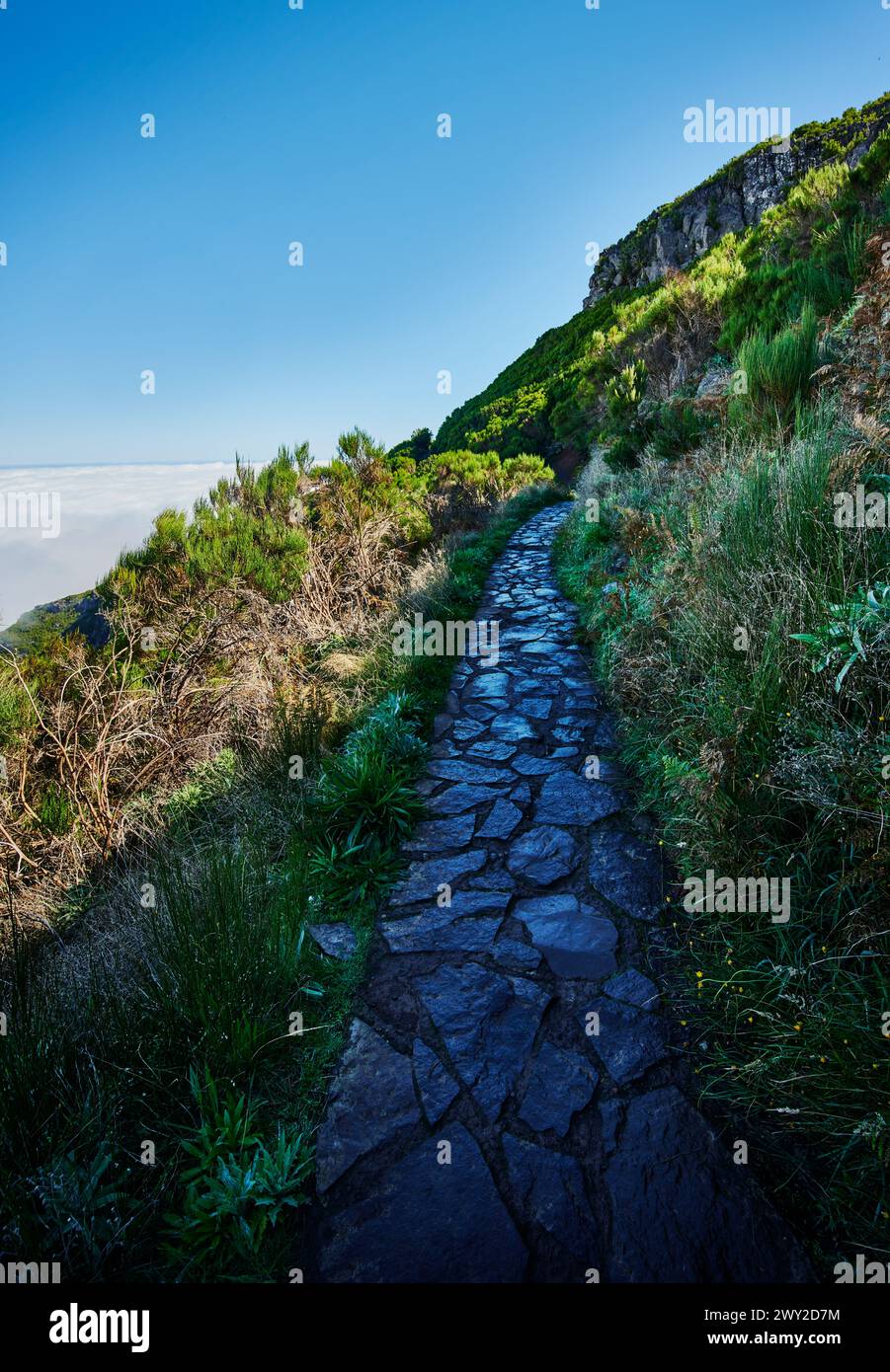 PR1 trail,  Pico do Arierio To Pico Ruivo Hike, On Madeira Island, Portugal, Europe Stock Photo